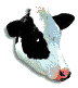 Tu-cows Logo